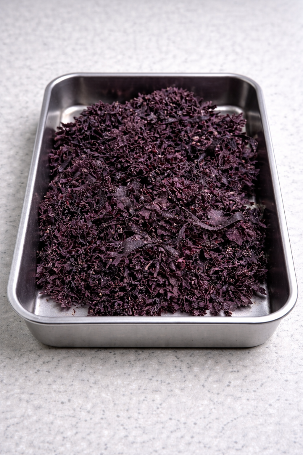 Wildcrafted Irish Seamoss - Dried 4oz